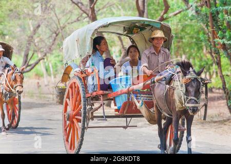 Ältere burmesische Fahrer mit Augen entstellende Risse Peitsche treibende Horse'n'Cart mit weiblichen Passagieren, Magwe, Myanmar Stockfoto