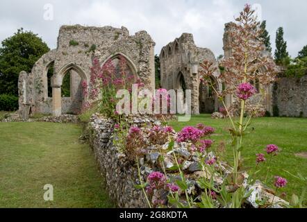 Die Ruinen der Abtei von Creake in der Nähe des Dorfes North Creake im ländlichen Norden Norfolks, East Anglia. Wilde Baldrian-Blumen im Vordergrund. Stockfoto