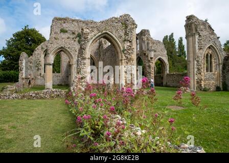 Die Ruinen der Abtei von Creake in der Nähe des Dorfes North Creake im ländlichen Norden Norfolks, East Anglia. Wilde Baldrian-Blumen im Vordergrund. Stockfoto