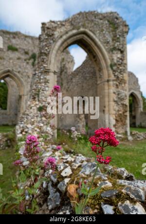 Die Ruinen der Abtei von Creake in der Nähe des Dorfes North Creake im ländlichen Norden Norfolks, East Anglia. Wilde Baldrian-Blumen im Vordergrund. Stockfoto