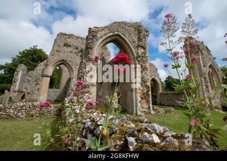 Die Ruinen der Abtei von Creake in der Nähe des Dorfes North Creake im ländlichen Norden Norfolks, East Anglia. Wilde Baldrian-Blumen im Vordergrund. Stockfoto