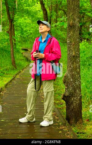 Locust Creek Boardwalk, Pershing State Park, Missouri Stockfoto