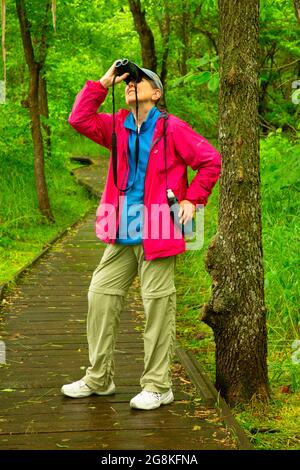 Locust Creek Boardwalk, Pershing State Park, Missouri Stockfoto