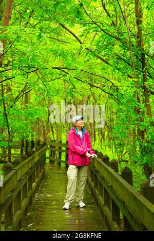 Locust Creek Boardwalk, Pershing State Park, Missouri Stockfoto