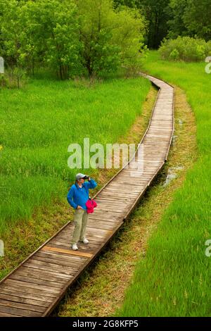 Locust Creek Boardwalk, Pershing State Park, Missouri Stockfoto