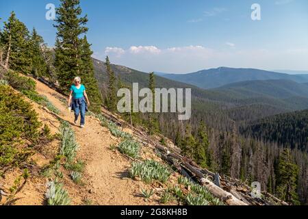 Monarch, Colorado - Susan Newell, 72, Wanderungen auf einem Pfad über dem Monarch Pass in der Nähe der Kontinentalscheide. Stockfoto