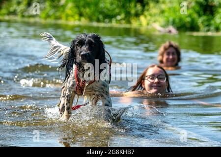 Die Menschen genießen das Wasser in Warleigh Weir am Fluss Avon in der Nähe von Bath in Somerset, während die Temperaturen über das Vereinigte Königreich steigen. Stockfoto