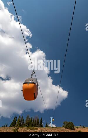 Monarch, Colorado - die Monarch Crest Scenic Tramway bringt Touristen zum 12,000 Meter hohen Gipfel des Monarch Ridge an der kontinentalen Kluft. Stockfoto