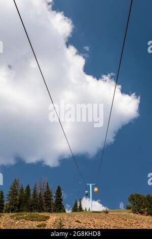 Monarch, Colorado - die Monarch Crest Scenic Tramway bringt Touristen zum 12,000 Meter hohen Gipfel des Monarch Ridge an der kontinentalen Kluft. Stockfoto