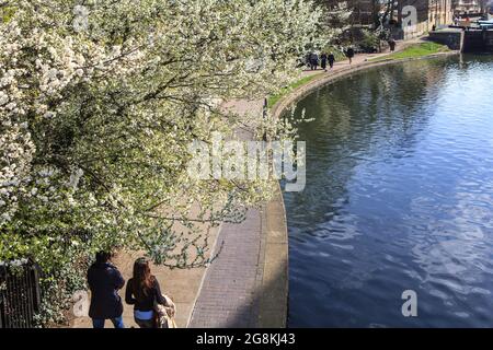 London, Großbritannien – am 15. April 2020 spazieren die Menschen entlang des Regent-Kanals. Blühende Apfelbäume. Feder Stockfoto