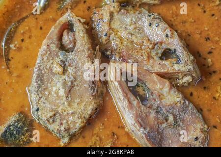 Tenualosa ilisha (Ilish, hilsa, hilsa Hering oder hilsa Shad) ist ein sehr beliebter und gefragter Speisefisch in Südasien.Bangladeshs Nationalfisch. Stockfoto