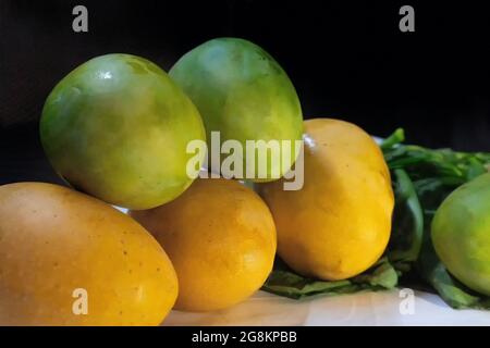 Mangos, saftige Steinfrüchte, von zahlreichen tropischen Baumarten der blühenden Pflanzengattung Mangifera, die hauptsächlich für ihre edi angebaut werden Stockfoto