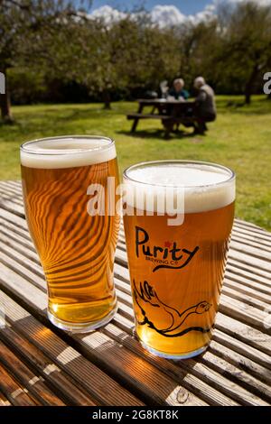 Großbritannien, England, Worcestershire, Bretforton, Fleece Inn, Obstgarten, Pint Bier auf dem Tisch bei Sonnenschein Stockfoto