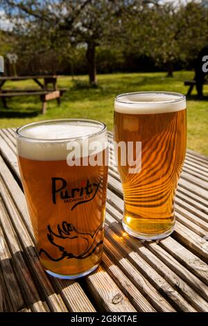 Großbritannien, England, Worcestershire, Bretforton, Fleece Inn, Obstgarten, Pint Bier auf dem Tisch bei Sonnenschein Stockfoto