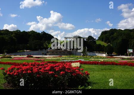 Wien, Österreich - Blick vom Schloss Schönbrunn in Richtung Neptunbrunnen und Gloriette über herrliche Blumen und Parkanlagen Stockfoto