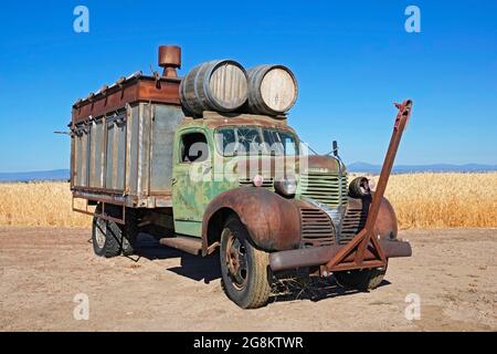 Um 1940er Jahre alter Dodge Truck, der auf einem Weizenfeld in der Nähe von Madras, Oregon, sitzt. Mount Jefferson ist im Hintergrund. Stockfoto