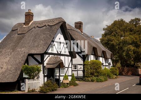 Großbritannien, England, Worcestershire, Cropthorne, Manor Cottage und The Old Post Office, charakterliche reetgedeckte Häuser Stockfoto