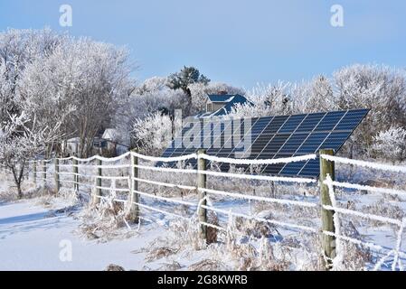 Brillante Raureif-Eiskristalle aus Wasserdampf, der Bäume, Zäune und Gräser in der Nähe einer solarelektrischen PV-Anlage in Wisconsin, USA, beschichtet Stockfoto