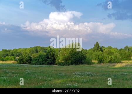 Sommerlandschaft mit Wolken, Bäumen und Wiesenblumen in den Strahlen des Sonnenuntergangs. Stockfoto