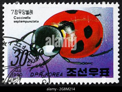 NORDKOREA - UM 1990: Eine in Nordkorea gedruckte Marke zeigt Lady Bug, Coccinella septempunctata, Insect, um 1990 Stockfoto