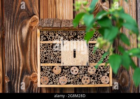 Nahaufnahme eines hölzernen Insektenhauses in einem Garten Stockfoto