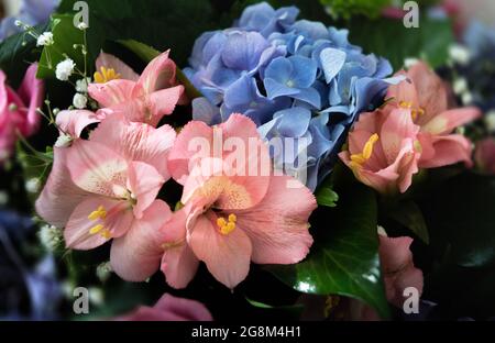 Festlicher Blumenstrauß mit blauen Hortensien und rosa Alstroemeria Stockfoto