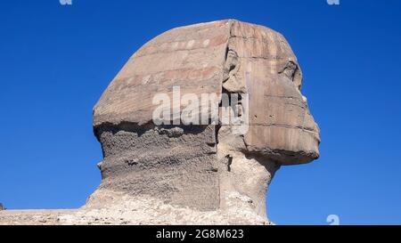 Die große Sphinx von Gizeh, ist eine Kalksteinstatue einer liegenden Sphinx, einer mythischen Kreatur. Sie steht auf dem Gizeh-Plateau am Westufer des Nils Stockfoto