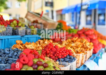 Rote Johannisbeeren, Himbeeren, Stachelbeeren, Heidelbeeren und andere Früchte und Gemüse zum Verkauf auf dem lokalen Bauernmarkt. Frische Bio-Produkte zum Verkauf Stockfoto