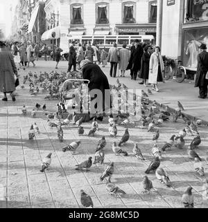 1950, historisch, eine Dame im Mantel mit einem kleinen Kind in einem Kinderwagen aus der Zeit, die Tauben auf einem Gebiet neben dem Bürgersteig auf der berühmten Avenue des Champs-Elysees, Paris, Frankreich fütterte. Stockfoto