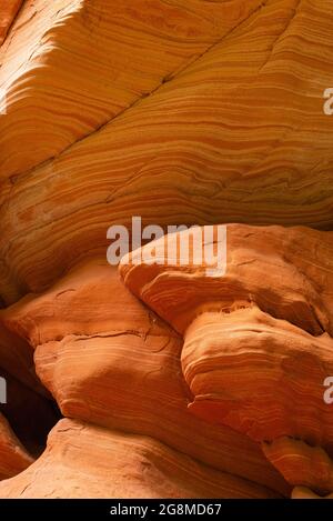 Rote Sandsteinmauern entlang des Weges. Spring Creek Canyon, Kanarraville, Utah Stockfoto