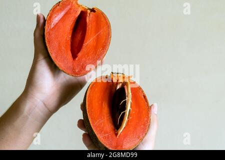 Menschliche Hände, die eine reife Sapodilla-Pflaume halten, die halbiert ist und das Fruchtfleisch in Richtung Kamera zeigt Stockfoto