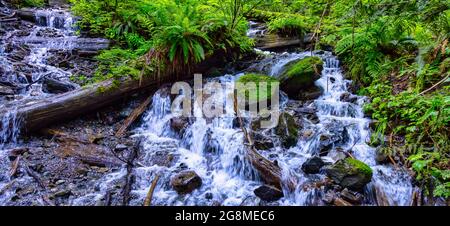 Bridal Veil Falls Provincial Park in der Nähe von Chilliwack Stockfoto