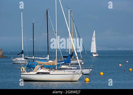 Kleine Segelboote liegen im Granton Harbour im Firth of Forth, Edinburgh, Schottland, Großbritannien. Stockfoto