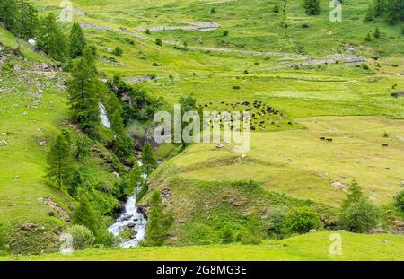 Idyllischer Sommermorgen Blick im schönen Valgrisenche, Aostatal, Norditalien. Stockfoto