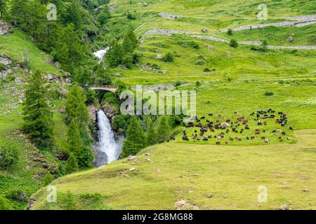 Idyllischer Sommermorgen Blick im schönen Valgrisenche, Aostatal, Norditalien. Stockfoto