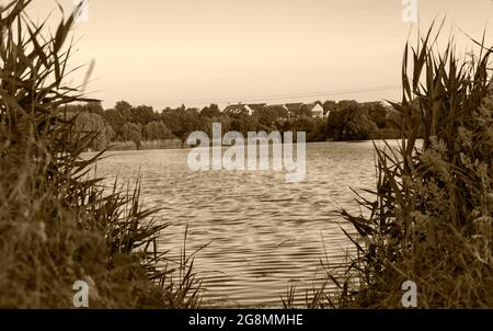 Schwarz-Weiß-Foto, Blick auf den See, durch das Schilf, auf dem Hintergrund des alten Dorfes Stockfoto