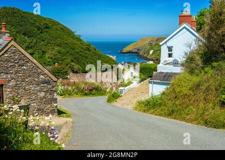 Abercastle, ein Hafen und Weiler an der Pembrokeshire Coast, Wales, Großbritannien Stockfoto