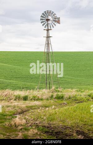 Palouse, Washington, USA. Windmühle im Weizenfeld in den Palouse Hügeln. Stockfoto