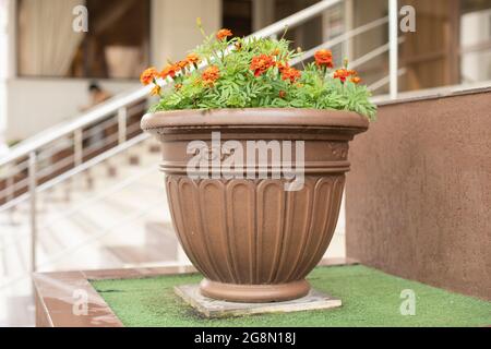 Blumenvase in der Stadt. Stadtarchitektur. Ein Blumenbeet im alten Stil. Stockfoto