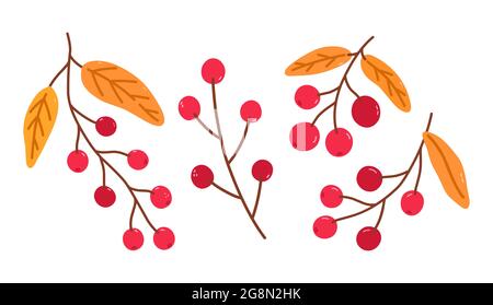 Set von Zweigen mit Preiselbeeren und goldenen Blättern isoliert auf weißem Hintergrund. Vektor handgezeichnete Illustration in Cartoon-Flat-Stil. Perfekt für Ihr Projekt, Karten, Logo, Dekorationen. Stock Vektor