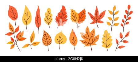 Set aus verschiedenen Herbstblättern und Zweigen isoliert auf weißem Hintergrund. Vektor handgezeichnete Illustration in Cartoon-Flat-Stil. Perfekt für Ihr Projekt, Karten, Einladungen, Druck, Dekorationen. Stock Vektor