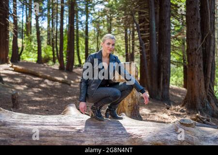 Junge Frau auf einem großen gefallenen Redwood-Baumstamm im Redwood-Hain Stockfoto