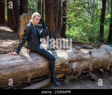 Junge Frau auf einem großen gefallenen Redwood-Baumstamm im Redwood-Hain Stockfoto