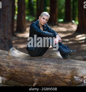 Junge Frau auf einem großen gefallenen Redwood-Baumstamm im Redwood-Hain Stockfoto