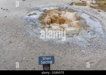 Yellowstone NP, WY, USA - 1. August 2020: The Shell Spring Stockfoto