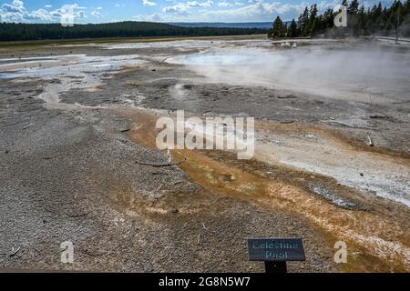 Yellowstone NP, WY, USA - 7. August 2020: Der Celestine Pool Stockfoto