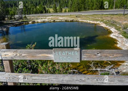 Yellowstone NP, WY, USA - 7. August 2020: The Leather Pool Stockfoto