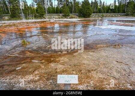 Yellowstone NP, WY, USA - 7. August 2020: Die Bakterienmatte Stockfoto