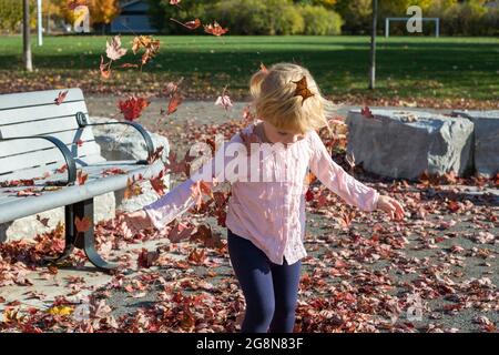 Kleines Mädchen, das im Herbst an einem warmen, sonnigen Tag im öffentlichen Park mit Blättern spielt. Stockfoto