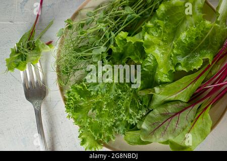 Blick von oben auf eine Mischung aus Salaten auf einem Teller und einer Gabel auf dem Tisch. Junge saftige Sprossen aus Erbsen oder Bohnen, Rübensprossen und grünem Salat. Gesundes Lebensmittelkonzept Stockfoto